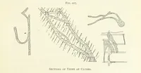 Picture 93 of 142 from Gold: its occurrence and extraction. Embracing the geographical and geological distribution ... of gold-bearing rocks; ... a bibliography of the subject; and a glossary of English and foreign technical terms ... With ... maps, etc (1882), leaf 1053