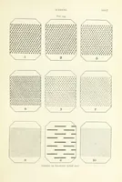 An illustration from Gold: its occurrence and extraction. Embracing the geographical and geological distribution ... of gold-bearing rocks; ... a bibliography of the subject; and a glossary of English and foreign technical terms ... With ... maps, etc (1882)