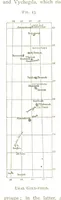Picture 21 of 142 from Gold: its occurrence and extraction. Embracing the geographical and geological distribution ... of gold-bearing rocks; ... a bibliography of the subject; and a glossary of English and foreign technical terms ... With ... maps, etc (1882), leaf 472