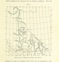 Picture 8 of 142 from Gold: its occurrence and extraction. Embracing the geographical and geological distribution ... of gold-bearing rocks; ... a bibliography of the subject; and a glossary of English and foreign technical terms ... With ... maps, etc (1882), leaf 77