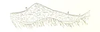 An illustration from Gold: its occurrence and extraction. Embracing the geographical and geological distribution ... of gold-bearing rocks; ... a bibliography of the subject; and a glossary of English and foreign technical terms ... With ... maps, etc (1882)