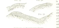An illustration from Gold: its occurrence and extraction. Embracing the geographical and geological distribution ... of gold-bearing rocks; ... a bibliography of the subject; and a glossary of English and foreign technical terms ... With ... maps, etc (1882)