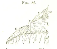 An illustration from Gold: its occurrence and extraction. Embracing the geographical and geological distribution ... of gold-bearing rocks; ... a bibliography of the subject; and a glossary of English and foreign technical terms ... With ... maps, etc (1882)