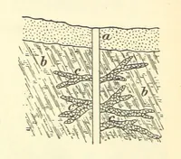 An illustration from Economic Mining. A practical handbook for the miner, the metallurgist, and the merchant (1895)