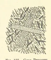 Picture 107 of 162 from Economic Mining. A practical handbook for the miner, the metallurgist, and the merchant (1895), leaf 493