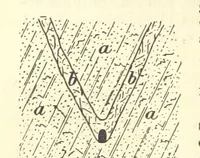 Picture 109 of 162 from Economic Mining. A practical handbook for the miner, the metallurgist, and the merchant (1895), leaf 494