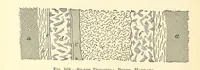 An illustration from Economic Mining. A practical handbook for the miner, the metallurgist, and the merchant (1895)