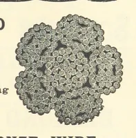 Picture 158 of 162 from Economic Mining. A practical handbook for the miner, the metallurgist, and the merchant (1895), leaf 701