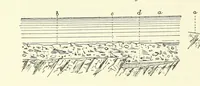 An illustration from Practical Gold-Mining: a comprehensive treatise on ... gold-bearing gravels, rocks and ores, and the methods by which the gold is extracted ... With ... plates, etc. [With a bibliography (1889)