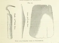 Picture 23 of 241 from Practical Gold-Mining: a comprehensive treatise on ... gold-bearing gravels, rocks and ores, and the methods by which the gold is extracted ... With ... plates, etc. [With a bibliography (1889), leaf 191