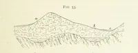 An illustration from Practical Gold-Mining: a comprehensive treatise on ... gold-bearing gravels, rocks and ores, and the methods by which the gold is extracted ... With ... plates, etc. [With a bibliography (1889)