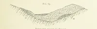 Picture 63 of 241 from Practical Gold-Mining: a comprehensive treatise on ... gold-bearing gravels, rocks and ores, and the methods by which the gold is extracted ... With ... plates, etc. [With a bibliography (1889), leaf 299