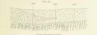 Picture 66 of 241 from Practical Gold-Mining: a comprehensive treatise on ... gold-bearing gravels, rocks and ores, and the methods by which the gold is extracted ... With ... plates, etc. [With a bibliography (1889), leaf 301
