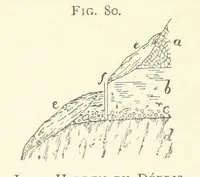 Picture 70 of 241 from Practical Gold-Mining: a comprehensive treatise on ... gold-bearing gravels, rocks and ores, and the methods by which the gold is extracted ... With ... plates, etc. [With a bibliography (1889), leaf 306