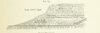 An illustration from Practical Gold-Mining: a comprehensive treatise on ... gold-bearing gravels, rocks and ores, and the methods by which the gold is extracted ... With ... plates, etc. [With a bibliography (1889)
