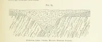 Picture 74 of 241 from Practical Gold-Mining: a comprehensive treatise on ... gold-bearing gravels, rocks and ores, and the methods by which the gold is extracted ... With ... plates, etc. [With a bibliography (1889), leaf 311