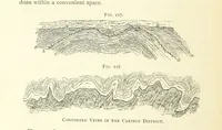 Picture 97 of 241 from Practical Gold-Mining: a comprehensive treatise on ... gold-bearing gravels, rocks and ores, and the methods by which the gold is extracted ... With ... plates, etc. [With a bibliography (1889), leaf 412