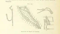 An illustration from Practical Gold-Mining: a comprehensive treatise on ... gold-bearing gravels, rocks and ores, and the methods by which the gold is extracted ... With ... plates, etc. [With a bibliography (1889)
