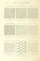 Picture 124 of 241 from Practical Gold-Mining: a comprehensive treatise on ... gold-bearing gravels, rocks and ores, and the methods by which the gold is extracted ... With ... plates, etc. [With a bibliography (1889), leaf 480