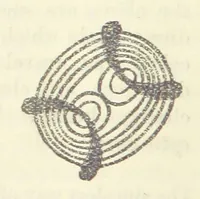 An illustration from A Guide to the Mineral Gallery ... With an Introduction to the study of Minerals. [By L. Fletcher (1884)