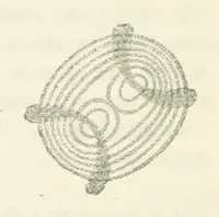 An illustration from A Guide to the Mineral Gallery ... With an Introduction to the study of Minerals. [By L. Fletcher (1888)
