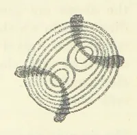 Picture 12 of 12 from A Guide to the Mineral Gallery ... With an Introduction to the study of Minerals. [By L. Fletcher (1889), leaf 48