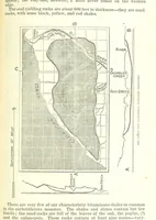An illustration from Revenue of the United States. Official Report by ... D. A. W. ... Reprinted. [With a preface by the Cobden Club (1874)