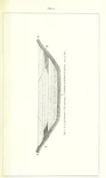 An illustration from Revenue of the United States. Official Report by ... D. A. W. ... Reprinted. [With a preface by the Cobden Club (1874)