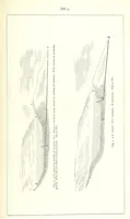 An illustration from Revenue of the United States. Official Report by ... D. A. W. ... Reprinted. [With a preface by the Cobden Club (1874)