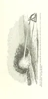 An illustration from Revenue of the United States. Official Report by ... D. A. W. ... Reprinted. [With a preface by the Cobden Club (1874)