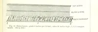 An illustration from Revenue of the United States. Official Report by ... D. A. W. ... Reprinted. [With a preface by the Cobden Club (1874)