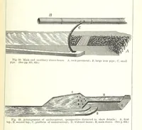 An illustration from Revenue of the United States. Official Report by ... D. A. W. ... Reprinted. [With a preface by the Cobden Club (1874)
