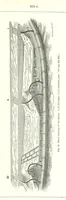 An illustration from Revenue of the United States. Official Report by ... D. A. W. ... Reprinted. [With a preface by the Cobden Club (1874)