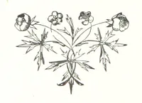 An illustration from The Tongue of the Bells. [Poems.] ... With illustrations, etc (1894)