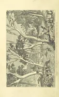 An illustration from Shifts and Expedients of Camp Life, Travels, etc (1871)