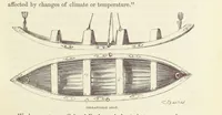 An illustration from Shifts and Expedients of Camp Life, Travels, etc (1871)