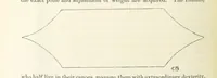 An illustration from Shifts and Expedients of Camp Life, Travels, etc (1871)