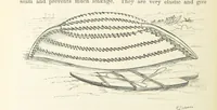 An illustration from Shifts and Expedients of Camp Life, Travels, etc (1871)