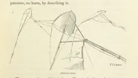 An illustration from Shifts and Expedients of Camp Life, Travels, etc (1871)