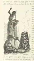 An illustration from Shifts and Expedients of Camp Life, Travels, etc (1871)