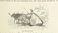 An illustration from Shifts and Expedients of Camp Life, Travels, etc (1871)