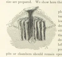 An illustration from Shifts and Expedients of Camp Life, Travels, etc (1871)