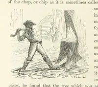 An illustration from Shifts and Expedients of Camp Life, Travels, etc (1871)