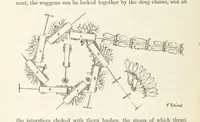 An illustration from Shifts and Expedients of Camp Life, Travels, etc (1871)