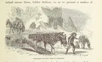 An illustration from Shifts and Expedients of Camp Life, Travels, etc (1871)