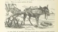 An illustration from Shifts and Expedients of Camp Life, Travels, etc (1871)