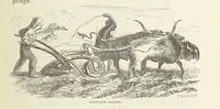 An illustration from Shifts and Expedients of Camp Life, Travels, etc (1871)