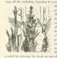 An illustration from Shifts and Expedients of Camp Life, Travels, etc (1871)