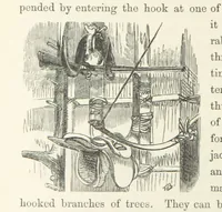 An illustration from Shifts and Expedients of Camp Life, Travels, etc (1871)