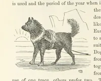 An illustration from Shifts and Expedients of Camp Life, Travels, etc (1871)